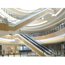 Econômico e Seguro Escada rolante para Shopping Mall